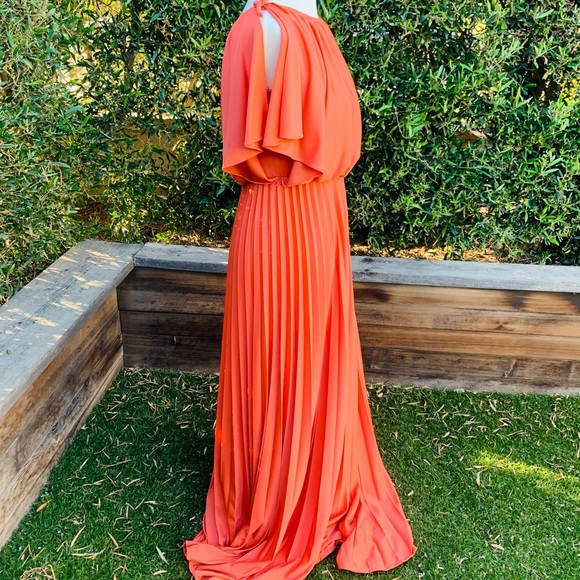 Vintage Union Made Pleated Grecian Gown - Picture 4 of 8